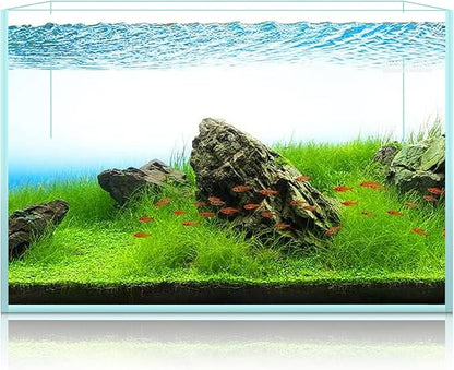 15 Gallon Rimless Aquarium, Ultra Clear Glass Low Iron Rectangular Fish Tank L19.6×W13×H13.8 Inches Thickness 6mm with EVA Foam Mat Included
