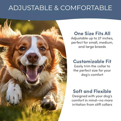Flea and Tick Collar for Dogs, Cats – Natural Essential Oils – Long-Lasting 8 Month Protection – Waterproof, Adjustable – Safe for Puppies, Kittens, Sensitive Skin