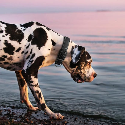 Fida Heavy Duty Dog Collar 1.5” Width, Ultra Soft Neoprene Padded, Adjustable Reflective Nylon Pet Collar with Two Metal Pin Belt Buckle for Large/X-Large Breeds (XL, Black)