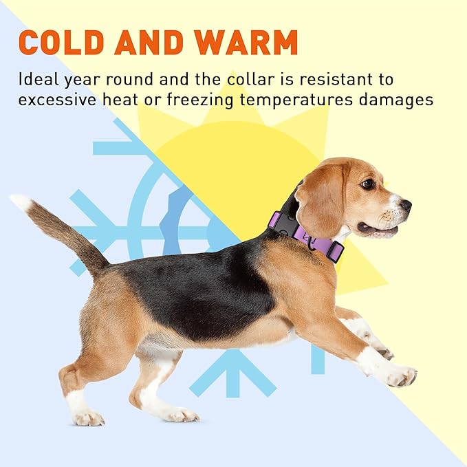 Dogline Biothane Waterproof Dog Collar with Quick Release Buckle Strong Coated Nylon Webbing with Odor- Proof for Easy Care Easy to Clean Fits Small Medium Large Dogs, Amethyst Purple 5/8" W 9-14" L