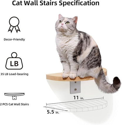 FUKUMARU Cat Wall Furniture Set, Transparent Capsule Kitten Walls Shelves with 2 PCS Pedals - Premium Kitty Bed for Sleeping, Playing, Climbing, and Lounging - Easily Holds Up to 35 Lbs