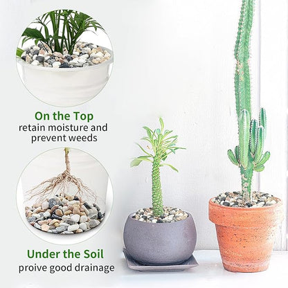 2 lbs Succulent and Cactus Pebbles Gravel, 3/8 Inch Mixed Color Decorative River Rocks for Plants Indoor, Vases, Terrarium, Potted Top Dressing and Outdoor Decorative Stones