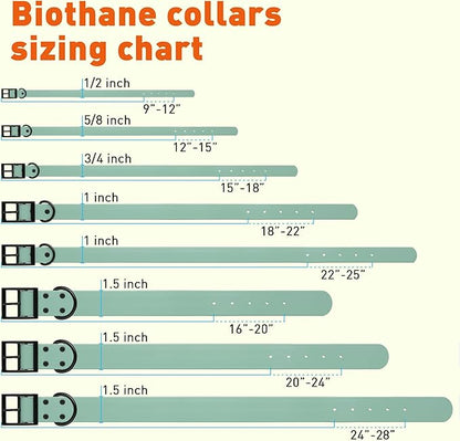 Dogline Biothane Waterproof Dog Collar Strong Coated Nylon Webbing with Black Hardware Odor- Proof for Easy Care Easy to Clean High Performance Fits Small Medium or Large Dogs, Sage Green