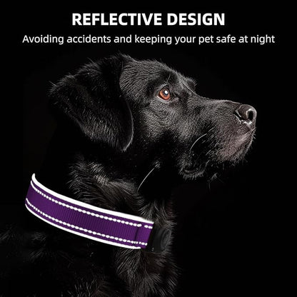Airtag Dog Collar - 100% Waterproof Air tag Dog Collar Holder for Apple AirTag, Reflective, Soft Padded, Everlasting, GPS Dog Collar for Small Medium Large Dogs (Purple, L)