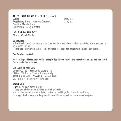 Formula 707 MuscleMx Equine Supplement, 10 lb Bag – Conditioning Support and Muscle Builder for Horses with Lysine, Gamma Oryzanol, Creatine & OKG