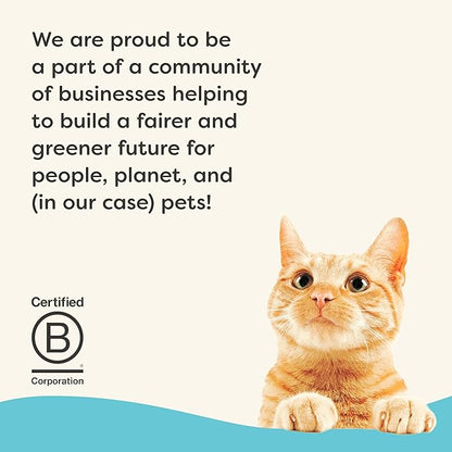 Applaws Vitality Wet Cat Food Paté, Natural Canned Cat Food, Wet Food for Cats with Added Vitamins and Minerals, Grain Free, Carrageenan Free, Tuna Fillet Recipe (24 Count, 2.47 oz Cans)