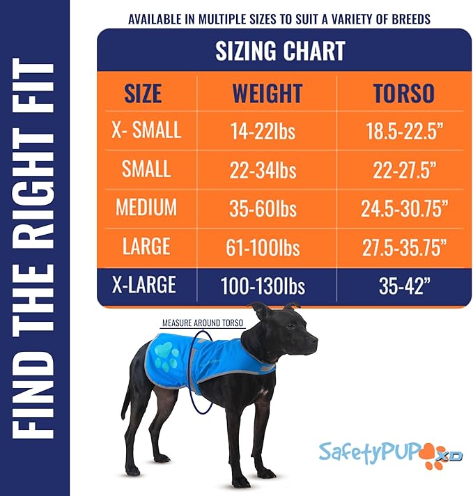 Dog Reflective Vest – Hi-Vis Fluorescent Visibility That Helps to Safeguard Your Pet On/Off Leash in Urban & Rural Areas (Blue, X-Large)