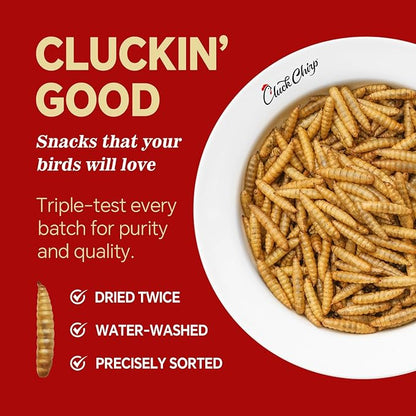 Dried Black Soldier Fly Larvae, Non-GMO, Natural Chicken Treats & High-Protein Poultry Snacks for Backyard Chickens, Laying Hens & Ducks, 2.5 lb Box