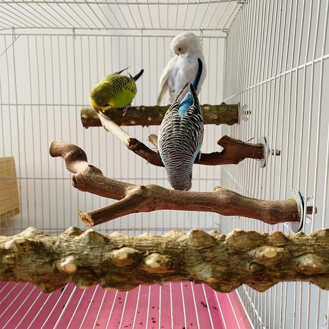 Allazone 5 PCS Natural Wooden Parrot Stand Bird Perch Stand Grape Stick Hanging Multi Branch Perch for Parrots, Bird Cage Accessories