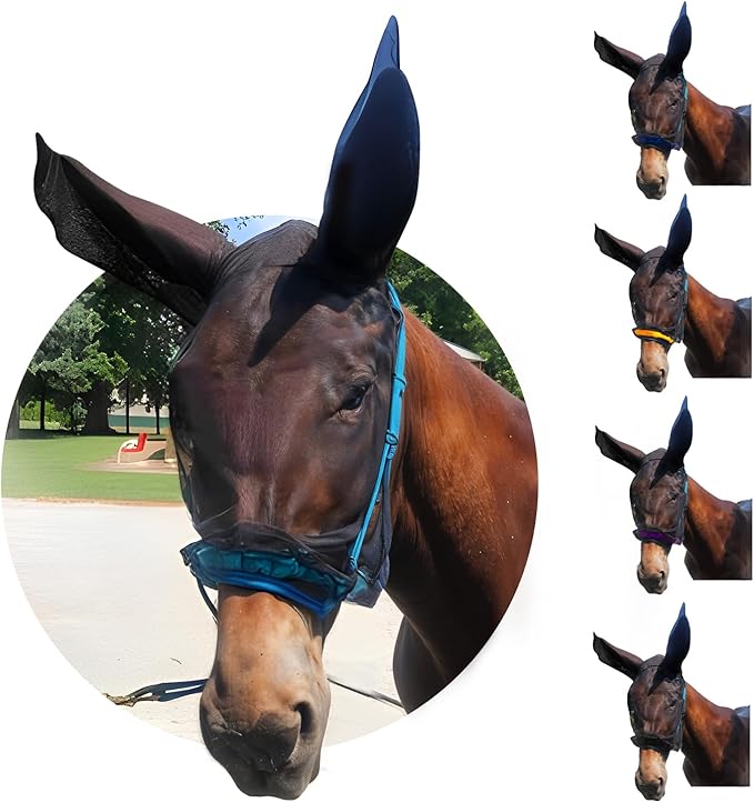 Donkey Fly Mask with Long Ears (Aqua) Half Hoodie for Standard Donkey, Made in USA - Mule Fly Mask with Ears Protection from Insects and Bugs, Face Cover Soft Mesh Fabric with Adjustable Fastener