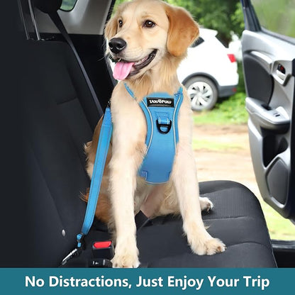 Dog Seat Belt Harness for Car, Dog Car Harness Adjustable Mesh Breathable & Dogs Seatbelt Safety Tether with Elastic Bungee for Small Medium Large Pets(Blue, M)