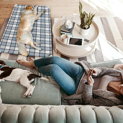 Elevated Outdoor Raised Dog Bed Outdoor Dogs Bed Lifted Pet Hammock Bed Dog Cot for Large Pet Taste Life, Start with A Pet Bed 39'' x 27'' x 6.5''