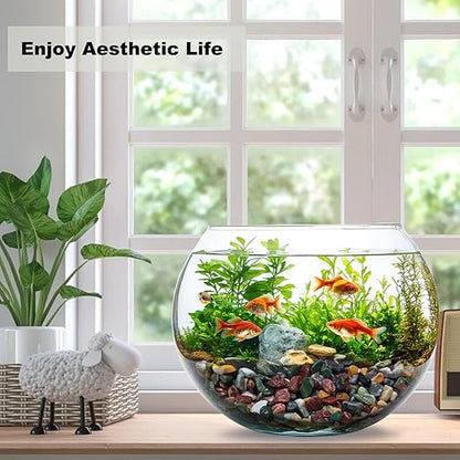 15LB Succulents Rocks for Plants Cactus Gravel Pebbles for Fish Tank 1/2 Inch Natural River Rocks for Vase, Aquarium, Landscaping,Bonsai,Terrarium Pebbles, Mixed Color