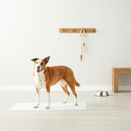 Amazon Basics Absorbent Dog and Puppy Pee Pads with 5-Layer Leak-Proof Design and Quick-Dry Surface for Potty Training, Heavy Duty Absorbency, Giant, 27.5 x 44 Inch - Pack of 30, Blue & White