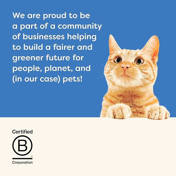 Applaws Natural Wet Cat Food in Gravy, Limited Ingredient Canned Wet Cat Food, No Additives, Made with Natural Ingredients, Tuna Fillet in Gravy (24 x 2.47oz Cans)