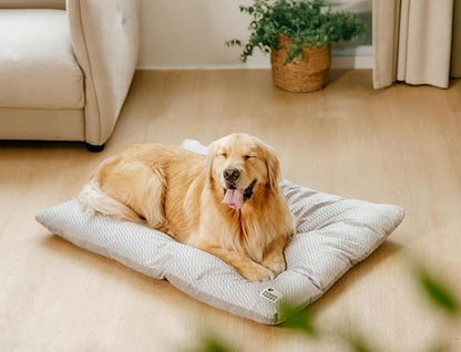 FUNNY FUZZY Washable Dog Bed,Reversible Plush Dog Crate Mat, Soft Fluffy Kennel Pad,Pet Sleeping Mattress for Large,Jumbo,Medium Sized Dogs Breeds,Indoor Cats,41.7" × 28.3", Light Grey