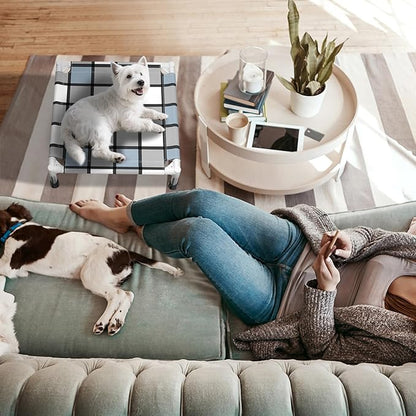 Elevated Outdoor Raised Dog Bed Outdoor Dogs Bed Lifted Pet Bed Dog Cot for Pet Taste Life, Start with A Pet Bed 20'' x 20'' x 6.5''