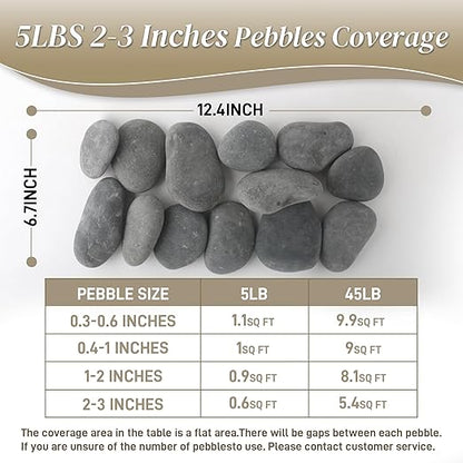 5 lbs Mexican Beach Pebbles, 2-3 Inch Decorative River Rocks for Fish Tank Aquarium Fountain, Decorative Pebbles for Garden Landscaping, Home Décor, Outdoor Paving Walkways Pathways Backyard