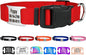GoTags Personalized Dog Collar with Nameplate, Adjustable Dog Collar with Custom Engraved Slide On Pet ID Tag in Stainless Steel, Silent, No Noise Dog Tag for Large Medium and Small (Red, Large)