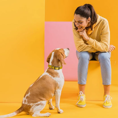 Dogline Biothane Waterproof Dog Collar Strong Coated Nylon Webbing with Black Hardware Odor- Proof for Easy Care Easy to Clean High Performance Fits Small Medium or Large Dogs, Treasure Gold