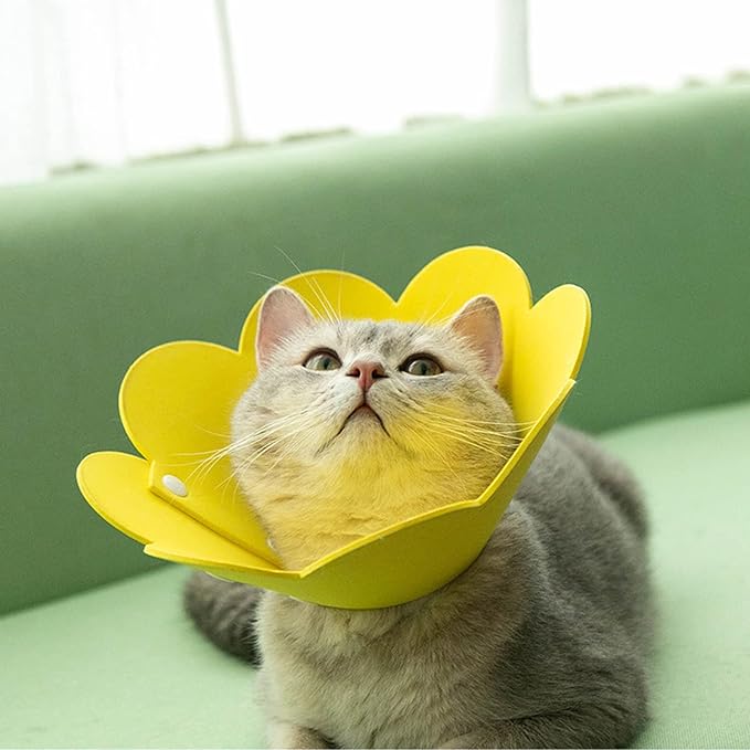 3-Piece Cat Recovery Collar Set - Sunflower Neck Cat Cone Anti-Licking Collars to Prevent Biting & Scratching (Pink, Orange, Yellow, S)