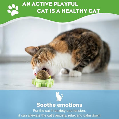 4 Pack Catnip Balls Roller Wall Ball for Cats Spinning Catnip Station Licking Balls Organic Cat nip Chew Ball for Teeth Cleaning & Play