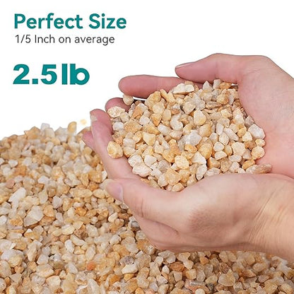 2.5 lbs Coarse Sand for Plants, 1/5 Inch Horticultural Sand for Vases, Aquariums, Terrarium, Fish Tank, Drainage Rocks for Potted Plants, Bamboo, Succulent, Crafts, Cactus