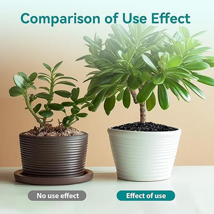 5 lbs Black Pebbles for Indoor Plants, 3/8" Small Rocks for Plants Indoor, Succulent, Bamboo, Vase, Decorative Black River Rocks Pea Gravel, Highly Polished