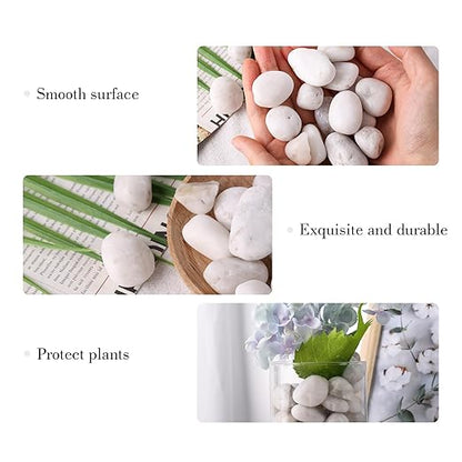 DomeStar 2.7lb White River Rocks, Polished Pebbles Decorative White Stones for Landscaping Vase Filler Fish Tank Aquariums Garden Outdoor and Indoor DIY
