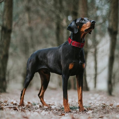 Fida Heavy Duty Dog Collar 1.5” Width, Ultra Soft Neoprene Padded, Adjustable Reflective Nylon Pet Collar with Two Metal Pin Belt Buckle for Large/X-Large Breeds (XL, Red)