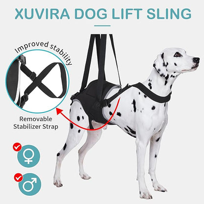 Dog Sling for Medium Dogs Hind Leg Support – Helps with Joint Pain, Mobility Issues, and Ivdd, Rear Leg Lift Harness with Chest Strap, Adjustable Elastic, and Reflective Material, M