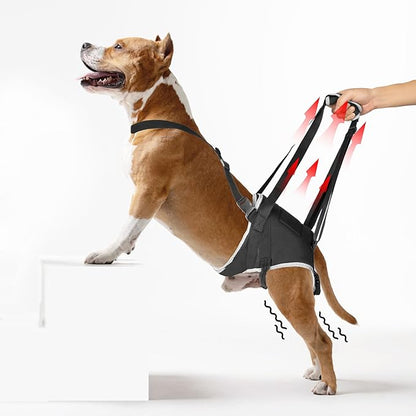 Dog Sling for Medium Dogs Hind Leg Support – Helps with Joint Pain, Mobility Issues, and Ivdd, Rear Leg Lift Harness with Chest Strap, Adjustable Elastic, and Reflective Material, M