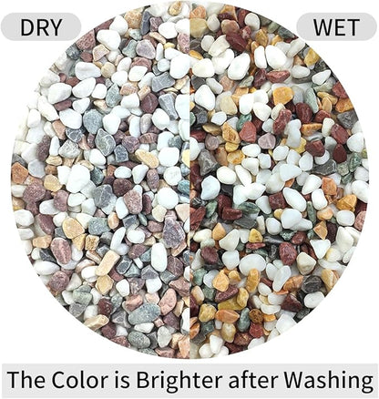 2 lbs Natural Mixed Color Pea Gravel Pebbles, 3/8 inch Decorative Rocks for Succulents, Pebbles for Indoor Plants, Vases, Aquarium Gravel, Top Dressing, Outdoor Decorative Stones