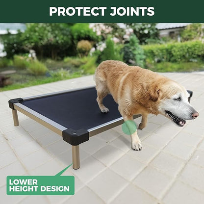 FXW TitanNest Chew-Proof Elevated Dog Bed, Raised Cot for Indoor/Outdoor/Camping Use, Durable & Waterproof Cooling Pet Bed for Medium Dogs, 41.0" L x 27.0" W x 5.0" H, Black