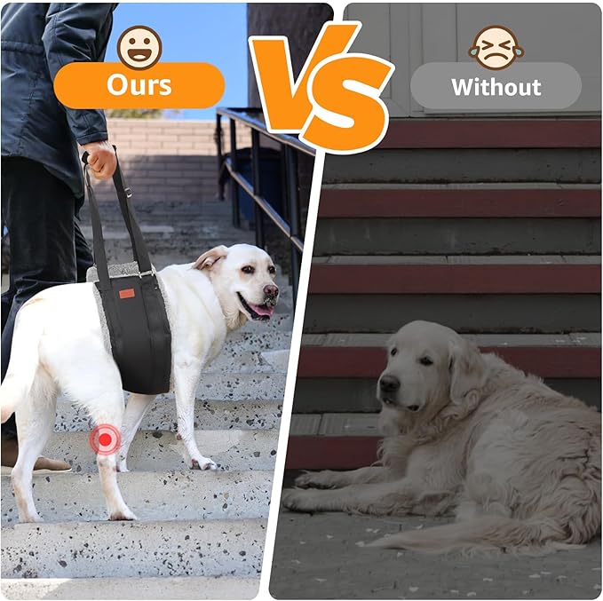 Adjustable Dog Lift Harness, Dog Sling for Large Dogs Hind Leg Support, Soft Lift Support Helps Senior, Injured, Disabled and After ACL Surgery Dogs-Black & Grey (Large)