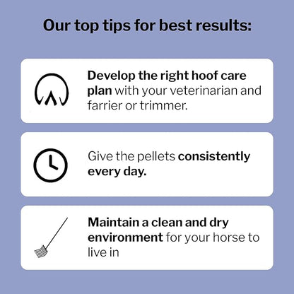 Formula 707 Hoof Health Equine Supplement, Daily Fresh Packs, 56 Day Supply - Biotin, Amino Acids, and Minerals to Improve and Support Healthy Horse Hooves