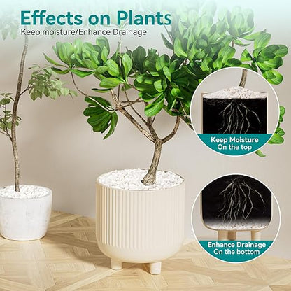 2.5 lbs Small White Rocks for Planters, 3/8" White Pebbles for Vases, Decorative Small Stones for Plants, Succulents, Bamboo, Terrarium, Landscape, Garden