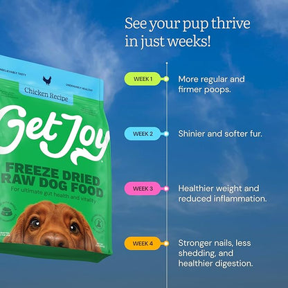 Get Joy Gut Health Fresh Freeze Dried Raw Meal, Chicken Recipe, 32 Ounce Bag, Dog Food for Dogs of All Breeds and Life Stages, PhD Animal Nutritionist Formulated, Made in USA