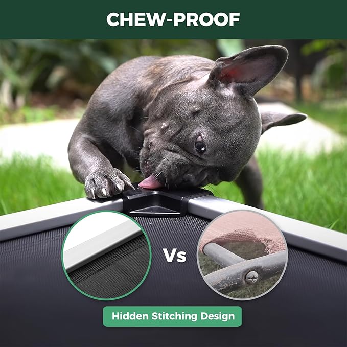 FXW TitanNest Chew-Proof Elevated Dog Bed, Raised Cot for Indoor/Outdoor/Camping Use, Durable & Waterproof Cooling Pet Bed for Small Dogs, 36.0" L x 24.0" W x 4.5" H, Black
