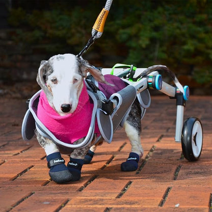 Double Dipped Thick Textured Waterproof Cotton Dog Socks | PawFlex Comfy Pawz Soft Indoor/Outdoor Pet Booties | Non-Slip Silicone Grip at Inner Wrist for No Twisting or Sliding Off| Adjustable Strap