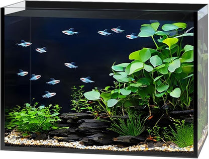 3 Gallon Clear Glass Fish Tank, Small Fish Tank Aquarium for Betta, Goldfish, Snail,Shrimp and Aquatic Planting