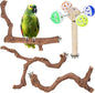 4-Piece Bird Perch Set with Rotating Ball Stand - Natural Wood Bird Gym & Playground for Parrots, Cockatiels, Budgies