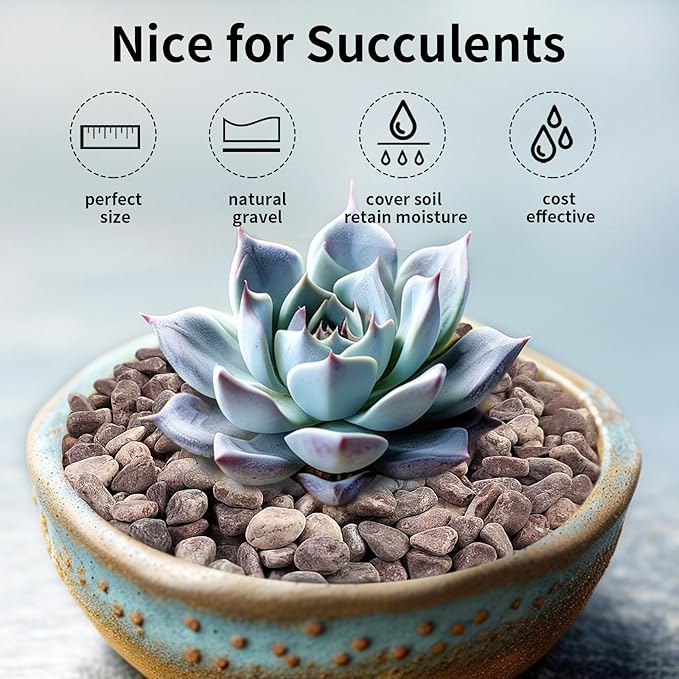 5 lbs Succulent and Cactus Pebbles for Indoor Plants, 3/8 Inch Pea Gravel Decorative Red River Rocks for Plants, Vases, Terrarium, Aquarium, Potted Top Dressing and Outdoor Landscaping Stones