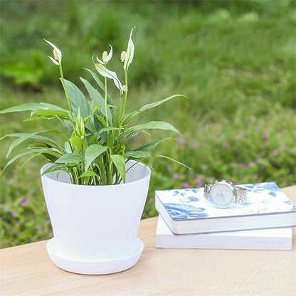 50 Pack 4 Inch Plant Pots Bulk Small Plastic Planters Pots with Drainage Holes Flower Pot for Succulent, Cactus, Herb, African Violet (50pcs-White, 4Inches)