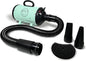 Flying Pig High Velocity Dog Pet Grooming Dryer w/Heater (Flying One, Mint w/Grey Logo)