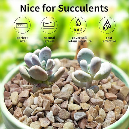 5lbs Natural Pea Gravel Pebbles, 3/8 Inch Decorative Succulent Rocks Pebbles for Indoor Plants. River Rocks for Vase and Outdoor Garden Landscaping Rocks