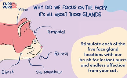 Furr&Purr Cat Brush, Scratcher, and Massager - Indoor Cat Calming Care with Face Scratcher, Finger Brush (3-Pack, Made in USA)