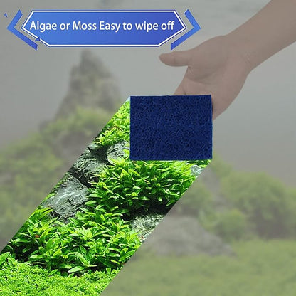 Aquarium Starter kit, The Package includes a Fish Tank Thermometer, aquascape Tool kit with a Sand Spatula, Straight Tweezers, Curved Tweezers, Curved Scissors, Handheld Sponge pad(3 PCS)