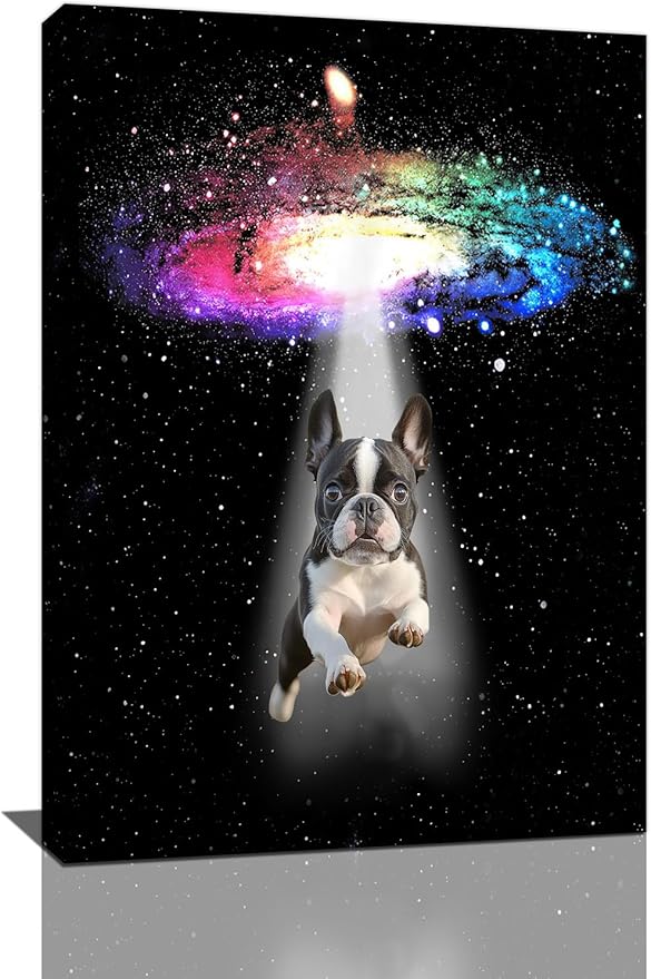 Funny Dog Wall Art Canvas Boston Terrier Wall Decor Prints Framed Painting Bulldog Galaxy Pictures Gifts Artwork for Bathroom 16"x24"