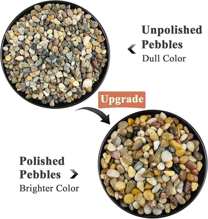 10 lbs Aquarium Pea Gravel, 3/8 Inch Polished Pebbles. Decorative Stones River Rocks for Succulent Soil Cover, Fish Yank, Vase and Outdoor Garden Landscaping